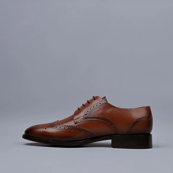 REGENT - Tan Genuine Leather Derby Brogues