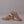 SONNET - Beige Casual Suede Leather Shoes for Men