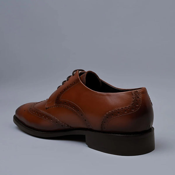 REGENT - Tan Genuine Leather Derby Brogues